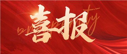 喜報！進(jìn)芯電子入選2022年湖南省專精特新“小巨人”企業(yè)名單！